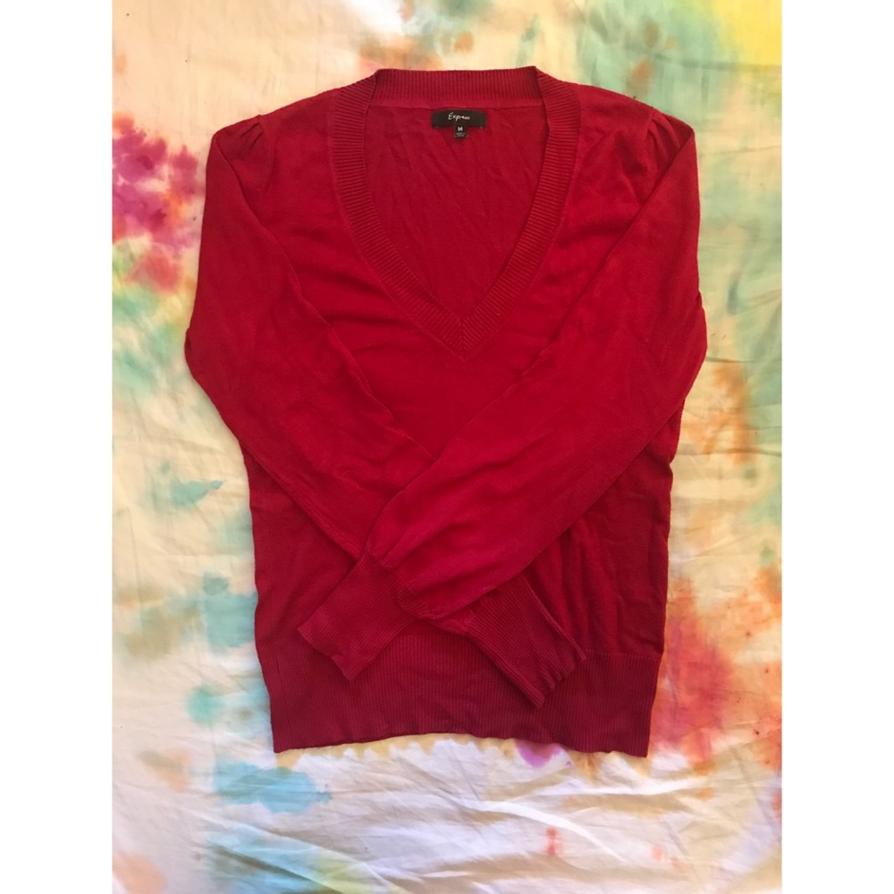 Express V-Neck Sweater